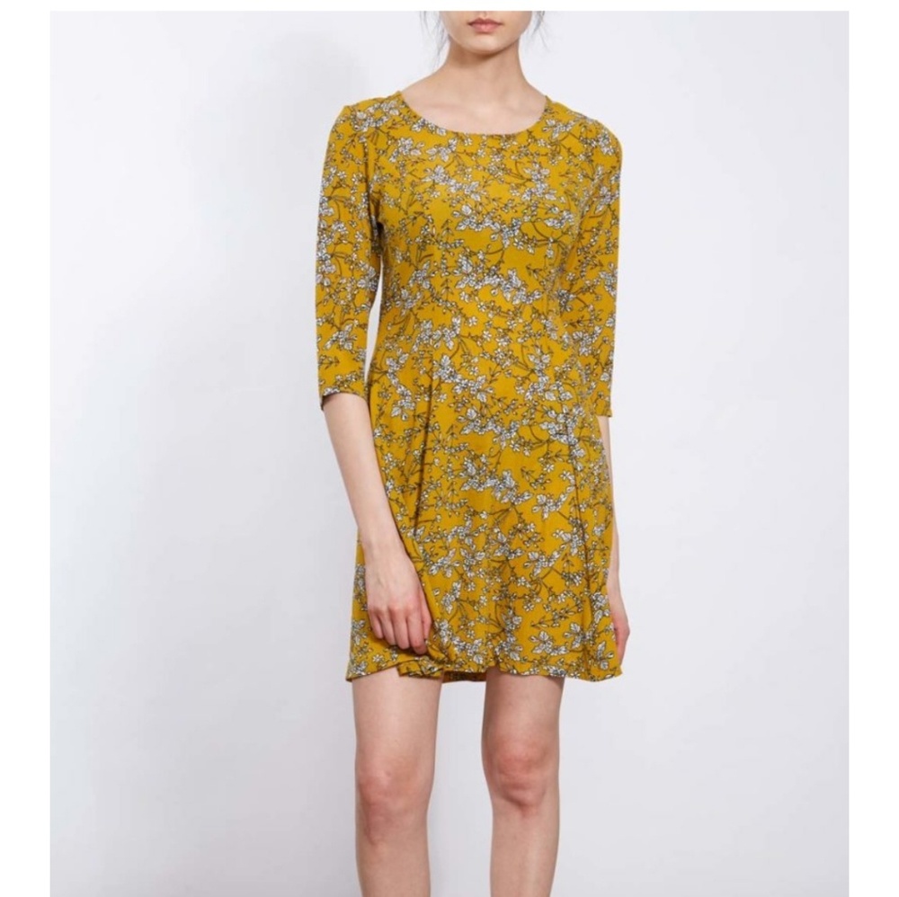 NWT QED LDN FLORAL FIT & FLARE DRESS